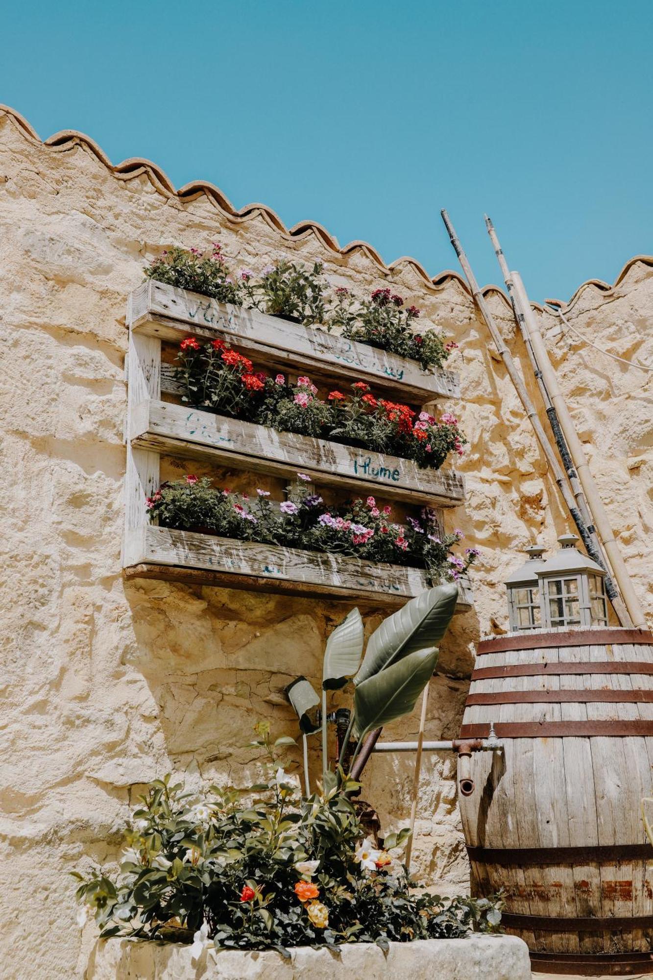 Balcone Mediterraneo - Donnalucata & Marina Di รากูซา ภายนอก รูปภาพ